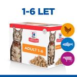 Hill's SP Feline Adult  kaps.CH+Beef +OF 12 x 85 g