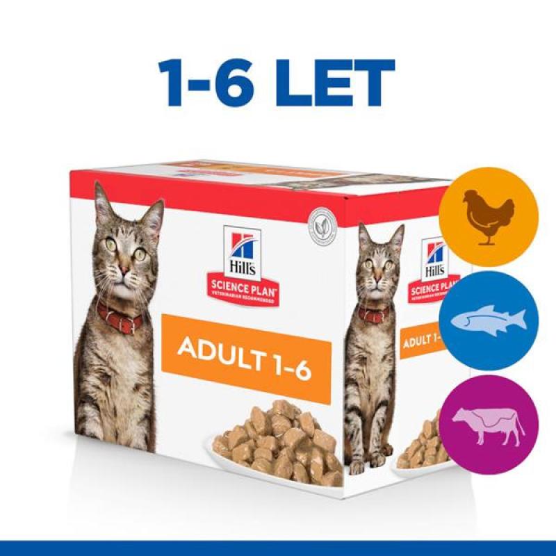 Hill's SP Feline Adult  kaps.CH+Beef +OF 12 x 85 g