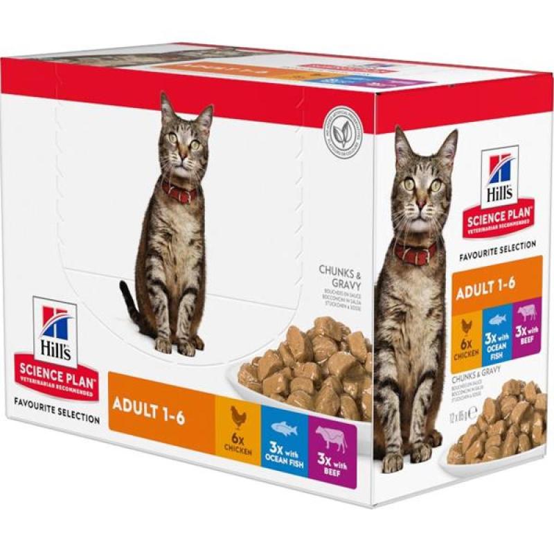 Hill's SP Feline Adult  kaps.CH+Beef +OF 12 x 85 g