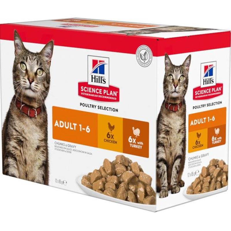 Hill's SP Feline Adult  kaps.CH+Turkey 12 x 85 g