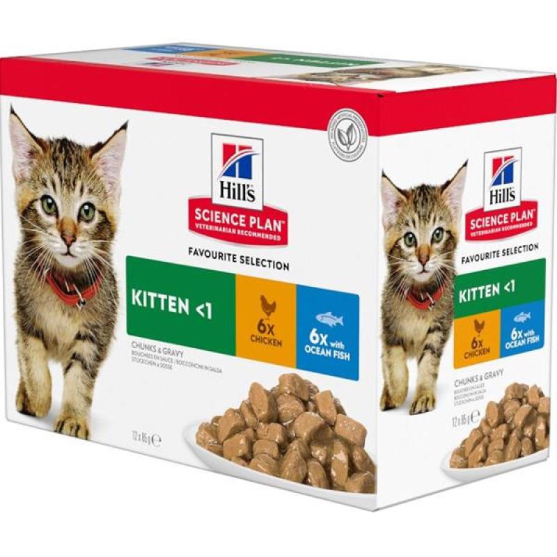 Hill's SP Feline Kitten kaps.CH+Fish -Multipack 12 x 85 g