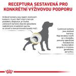 RC VHN Dog URINARY U/C 14KG