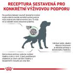 RC VHN DOG diabetic 12kg