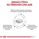 RC VHN DOG diabetic 12kg