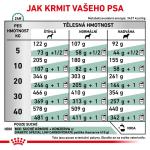 RC VHN DOG diabetic 12kg