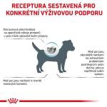 RC VHN DOG Hypoallergenic small dog 3,5kg