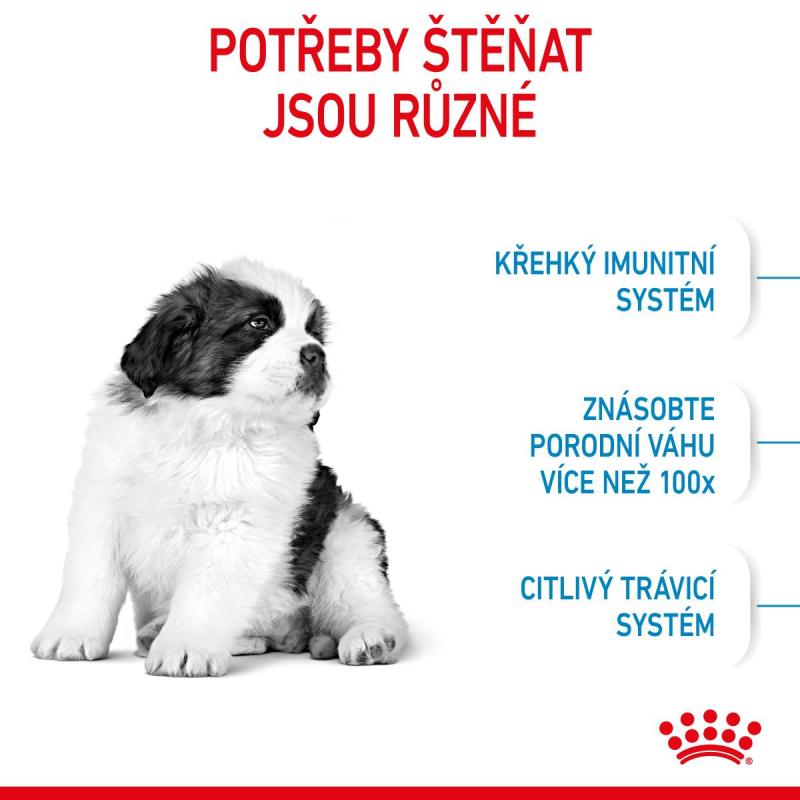 RC SHN GIANT PUPPY 15 kg