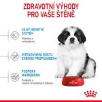RC SHN GIANT PUPPY 15 kg