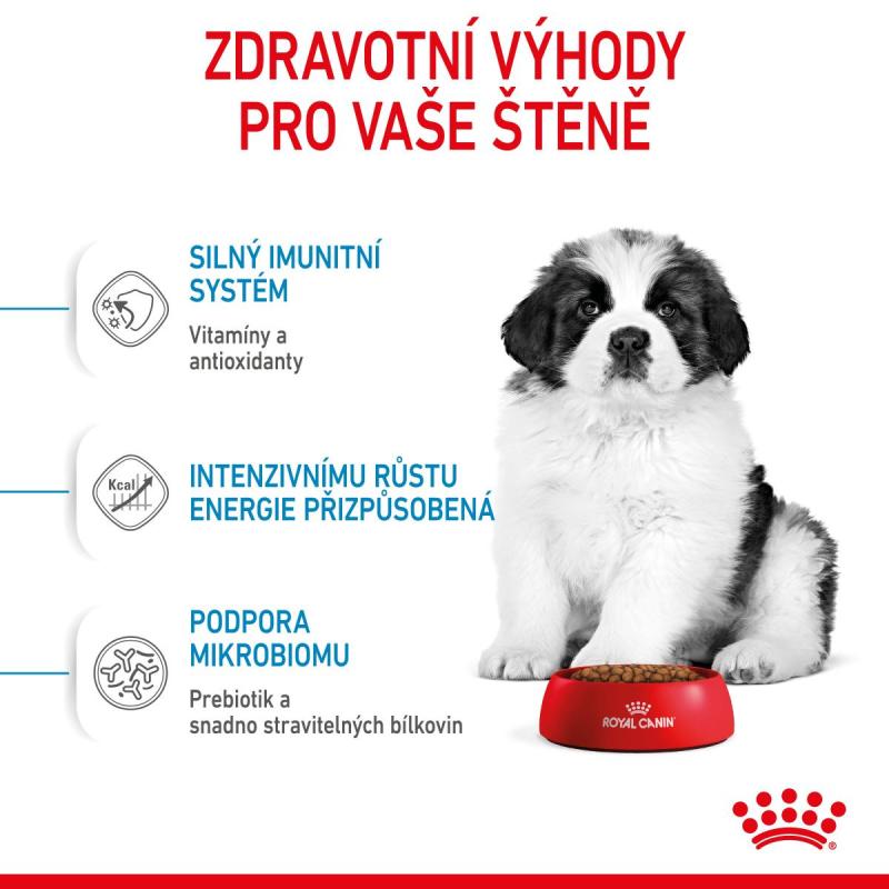 RC SHN GIANT PUPPY 15 kg
