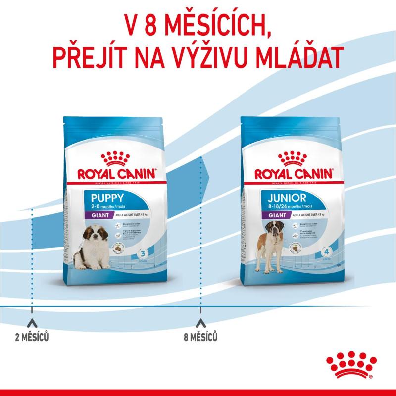 RC SHN GIANT PUPPY 15 kg