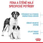 RC SHN GIANT STARTER MOTHER&BABYDOG 15 kg