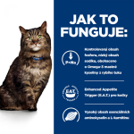 Hill's PD Feline K/D Early Stage 3kg