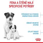 RC SHN MINI STARTER Mother&amp;amp;Babydog 8KG