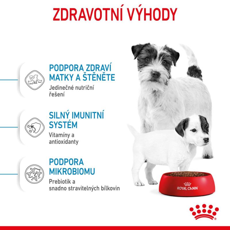 RC SHN MINI STARTER Mother&amp;amp;Babydog 8KG