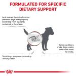RC VHN DOG Gastro Intestinal Low Fat Small Dog 1,5kg