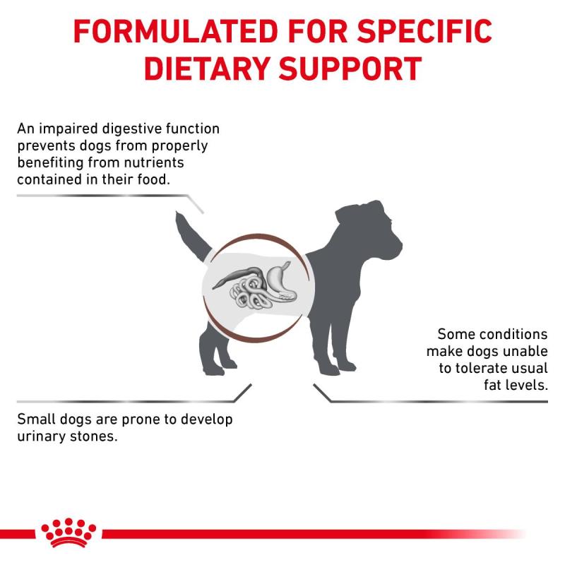 RC VHN DOG Gastro Intestinal Low Fat Small Dog 1,5kg