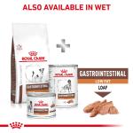 RC VHN DOG Gastro Intestinal Low Fat Small Dog 1,5kg