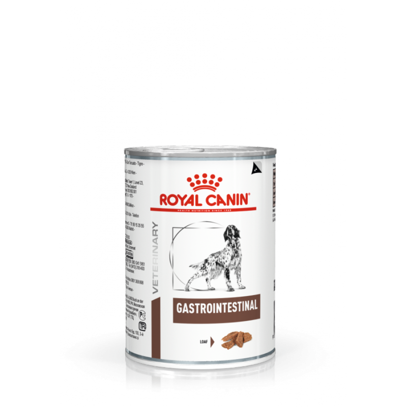 RC VHN DOG Gastro Intestinal konz.12x400g