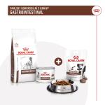 RC VHN DOG TREATS Gastrointestinal 230g