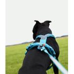 Postroj Line harness 5.0 vel.4, černá barva