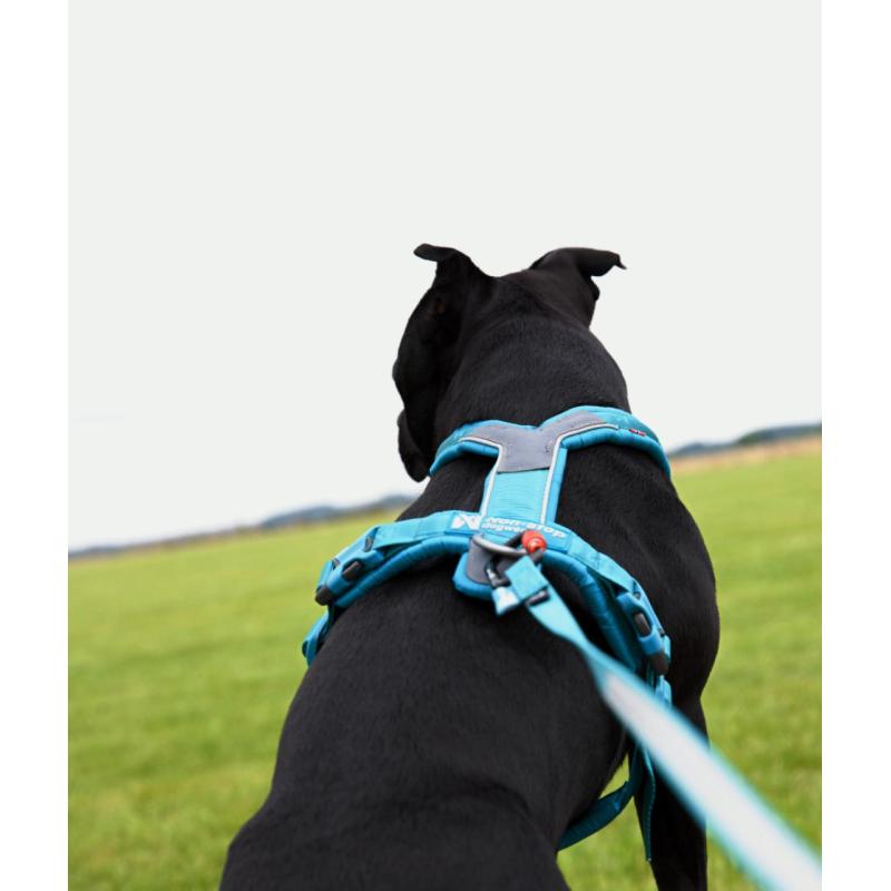 Postroj Line harness 5.0 vel.4, černá barva