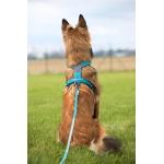 Postroj Line harness 5.0 vel.4, černá barva
