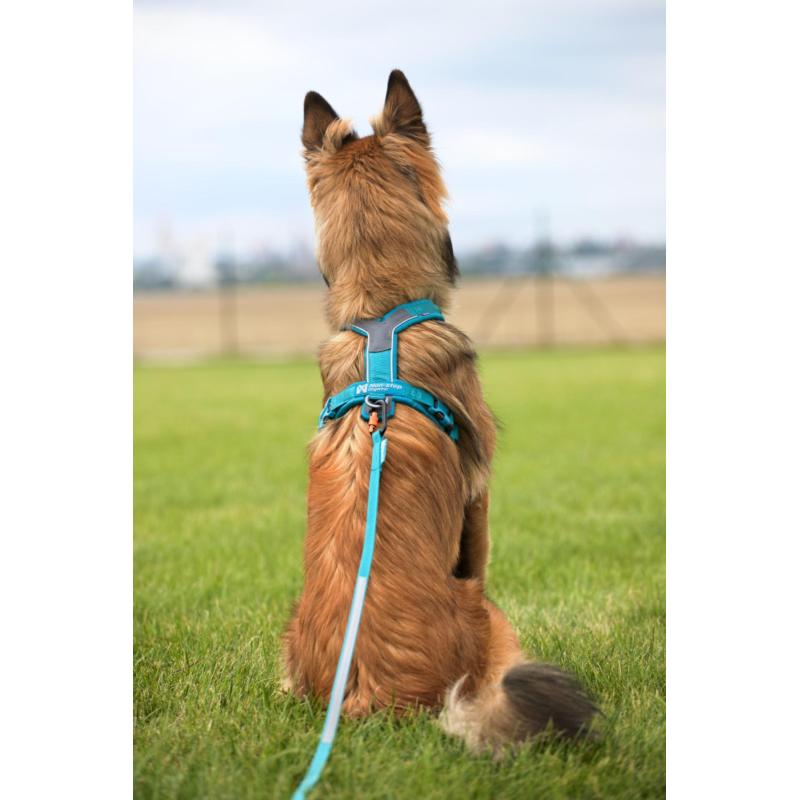 Postroj Line harness 5.0 vel.4, černá barva