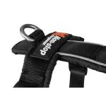 Postroj Line harness 5.0 vel.4, černá barva