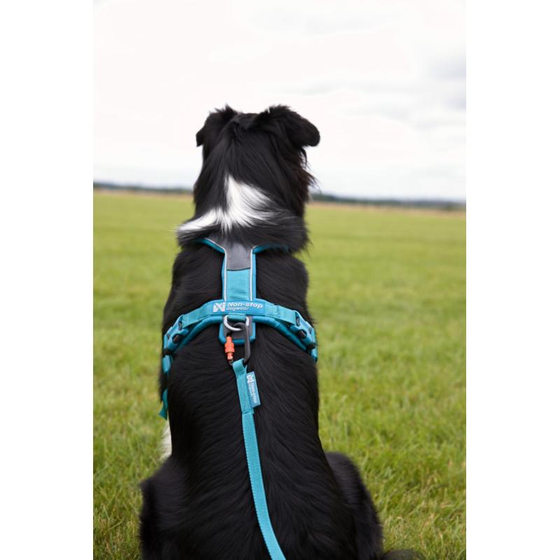 Postroj Line harness 5.0 vel.4, černá barva