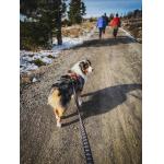 Vodítko Touring bungee leash 2,8m/23mm, barva šedá
