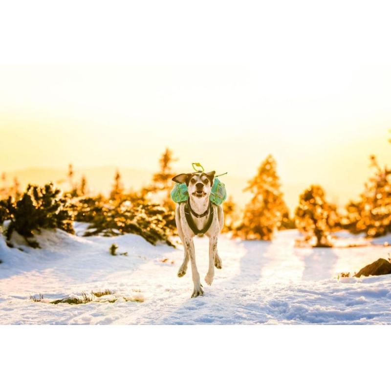 Batoh Trail light dog backpack vel.M barva tyrkys