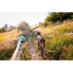 Batoh Trail light dog backpack vel.M barva tyrkys