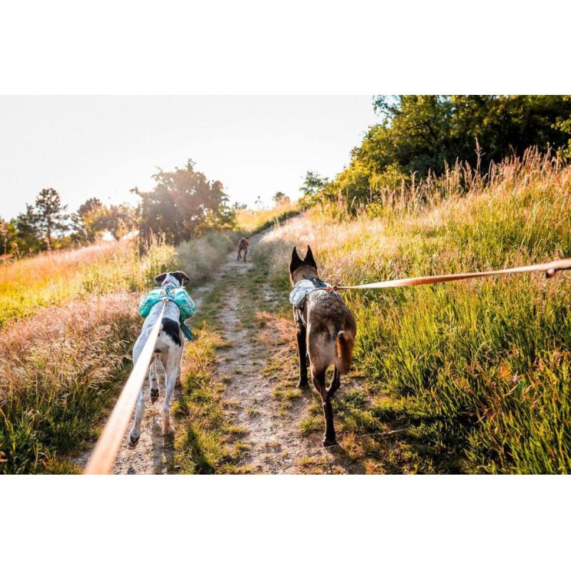 Batoh Trail light dog backpack vel.M barva tyrkys