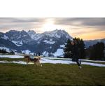 Batoh Trail light dog backpack vel.M barva tyrkys