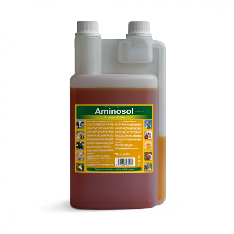 Aminosol 1000ml