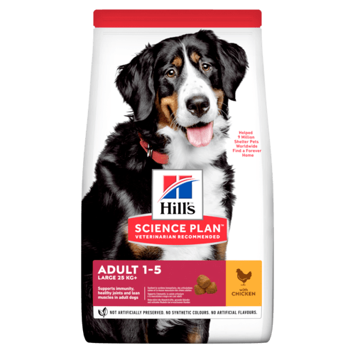 Hill's SP Canine Adult Large Breed chicken 18 kg New 604308