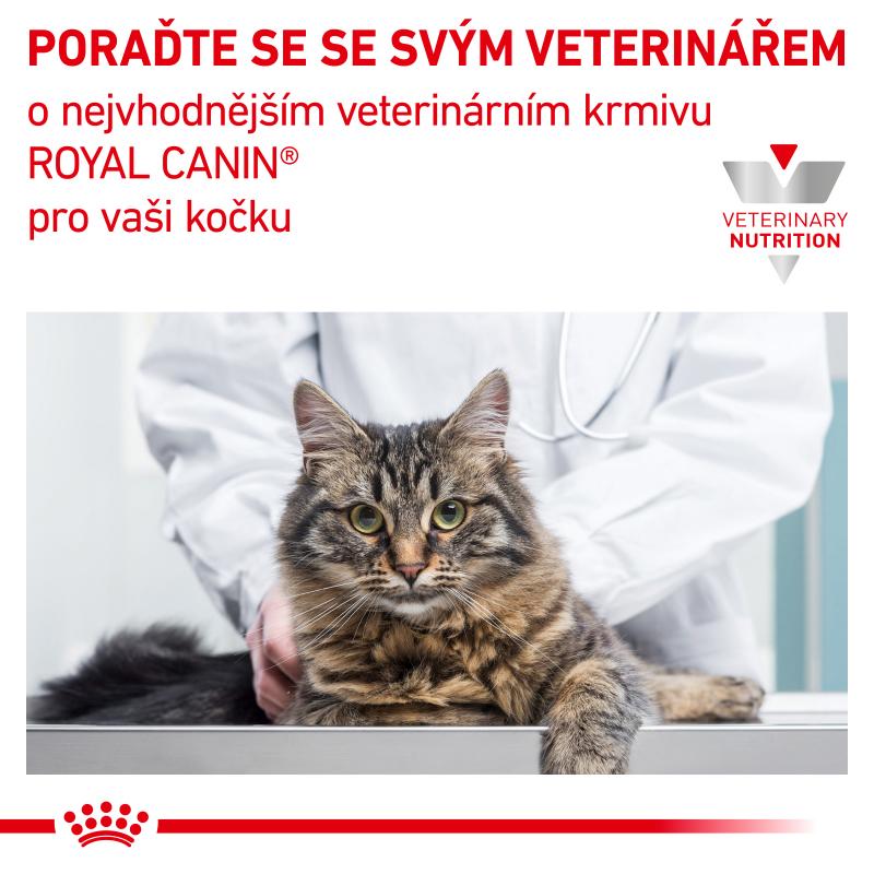 RC VHN Cat Diabetic 3,5kg