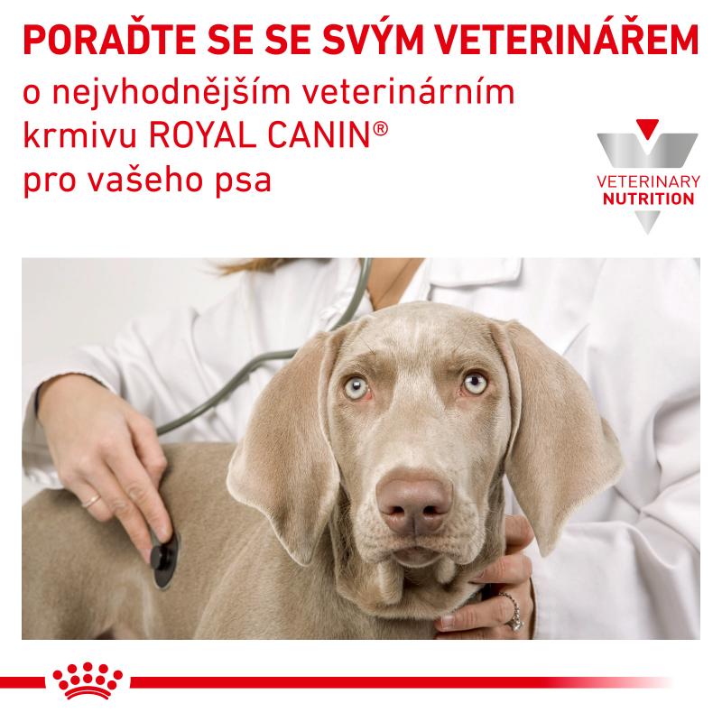 RC VHN dog satiety small dogs 3KG