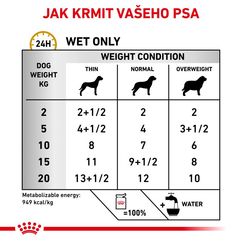 RC VHN Dog Urinary kapsa S/O Age loaf 12x85